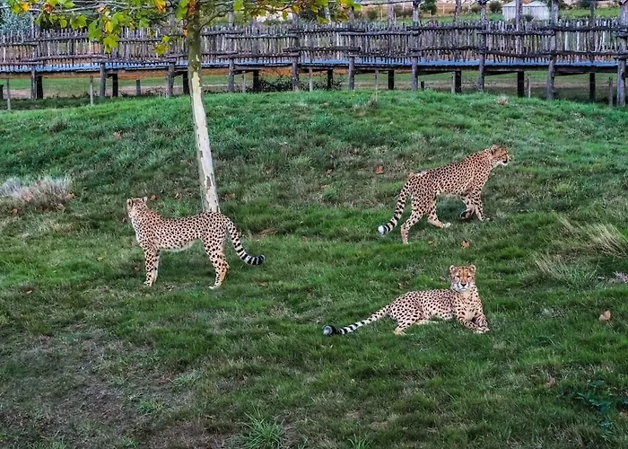Maison Pour 4 Personnes Au Cœur Du Vignoble Nantais * Le Loroux-Bottereau